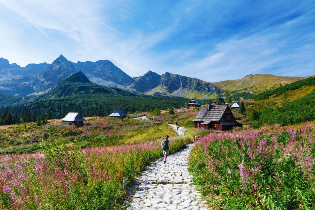 Zakopane - Apartament Chomikowka Eksteriør billede